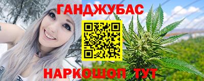 сатива Кингисепп