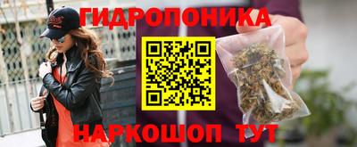 сатива Кингисепп